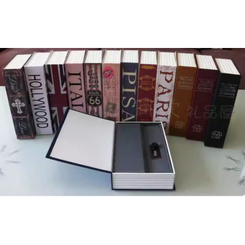 Dictionary Safe Book